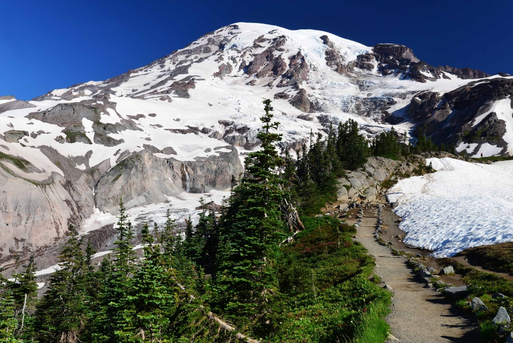 5 epic hikes in Mt. Rainier - Skyline Trail