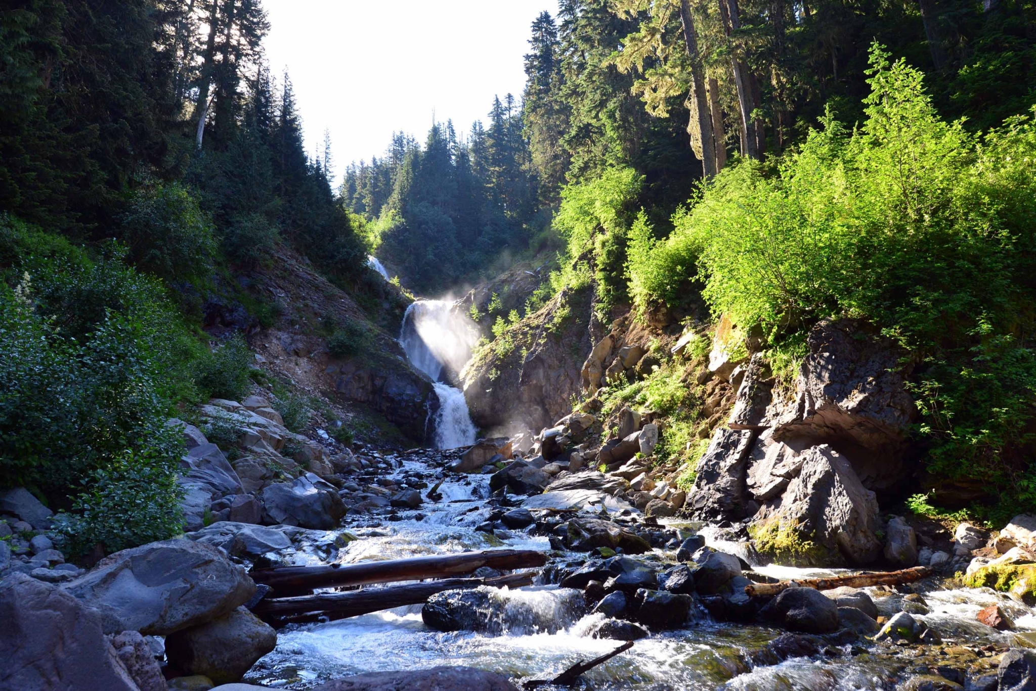 5 epic hikes in Mt. Rainier - Comet Falls trail
